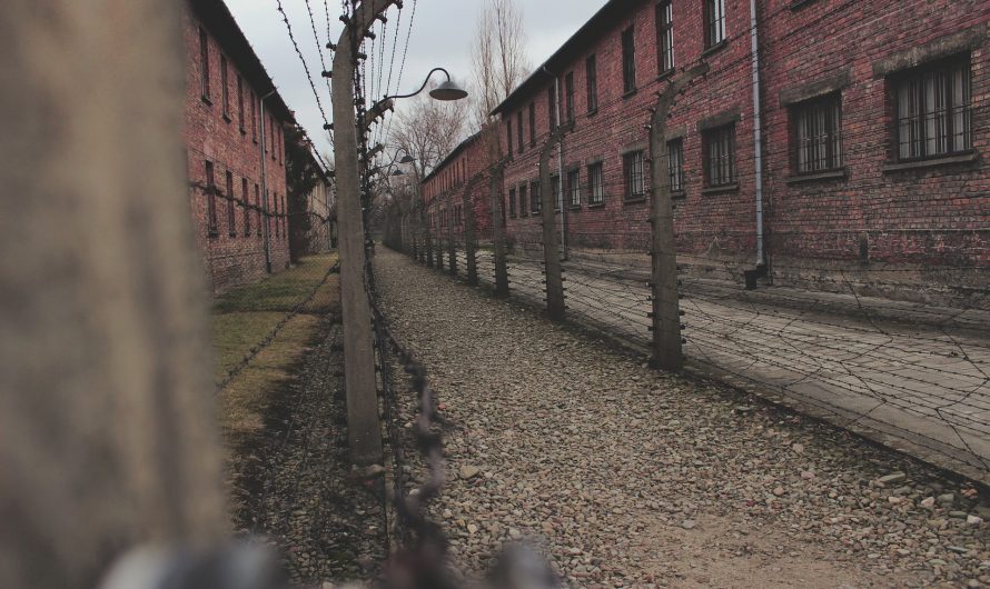 Georg Elser: der Tischler, der fast Hitler tötete