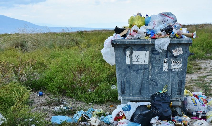 Warum die Lebensmittelverschwendung kein Individuelles Problem ist