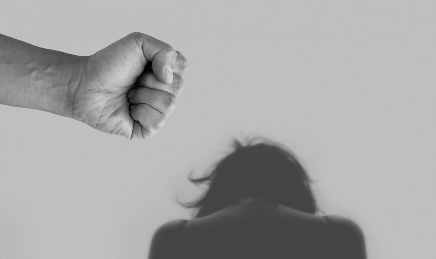 Wien- 5 Frauen an einem Tag ermordet