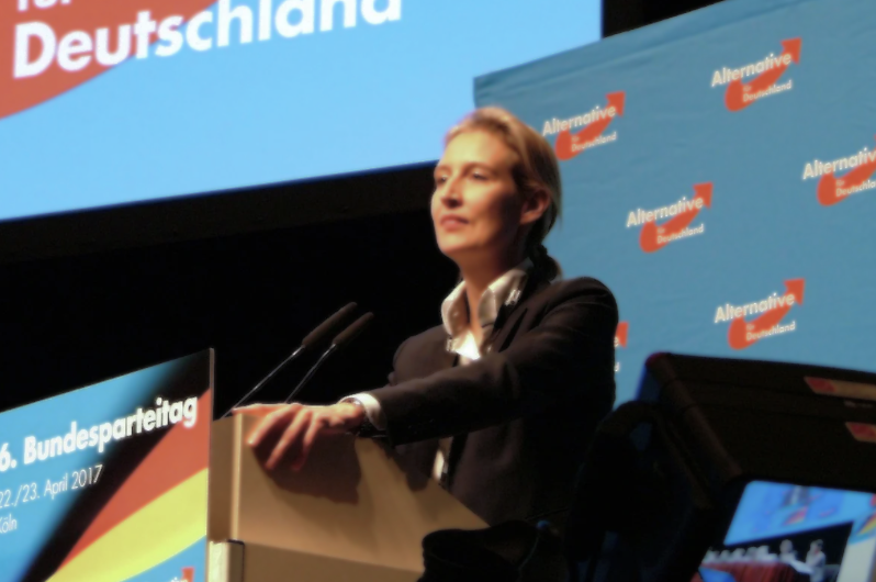 Ist das Verbot der AFD die Lösung? 