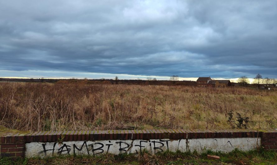 Nach Lützerath – Wie ist die Lage am Hambacher Wald?