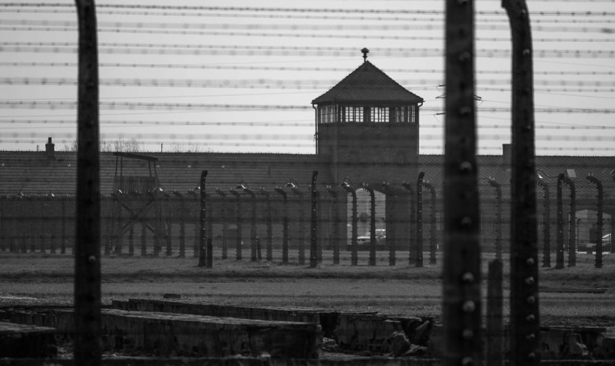 Die Befreiung des KZ Auschwitz durch die Rote Armee