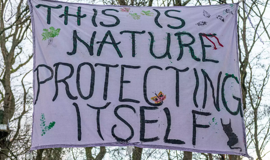 Erneute Räumung im Hambacher Wald – Profit vs. Natur